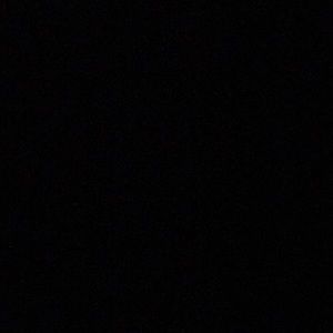 Meet your Posher, Frankie